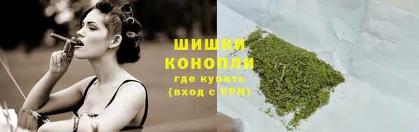 стафф Богородицк