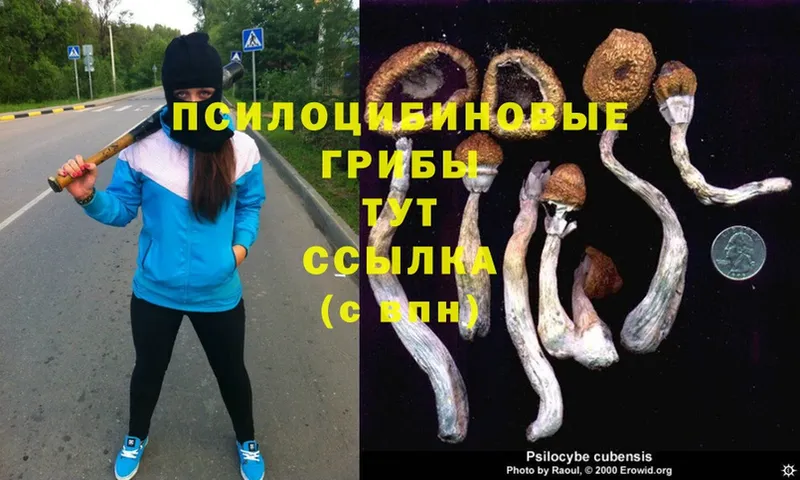 Псилоцибиновые грибы MAGIC MUSHROOMS  где купить наркотик  Урюпинск 